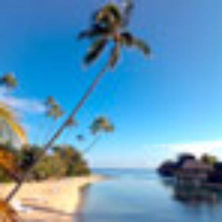 Choice Chinese Center